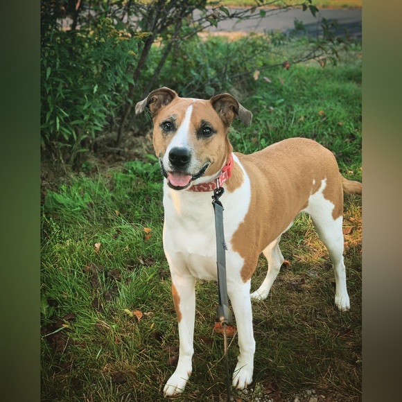 Jade!! - Picture 7 of 16